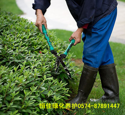 恒佳绿化—灌木修剪