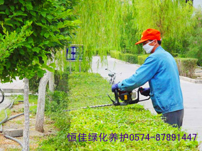 恒佳绿化—修枝剪平