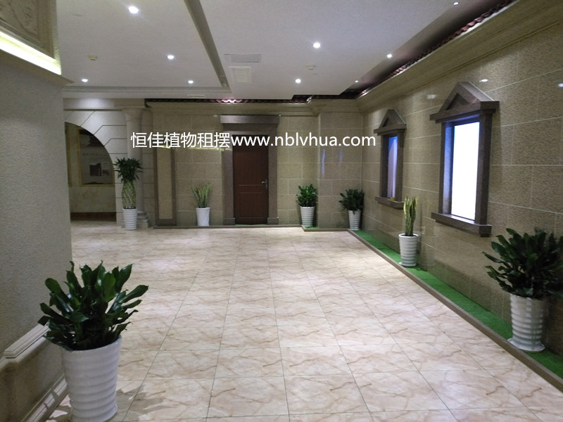 微信图片_20180728191627_副本.jpg