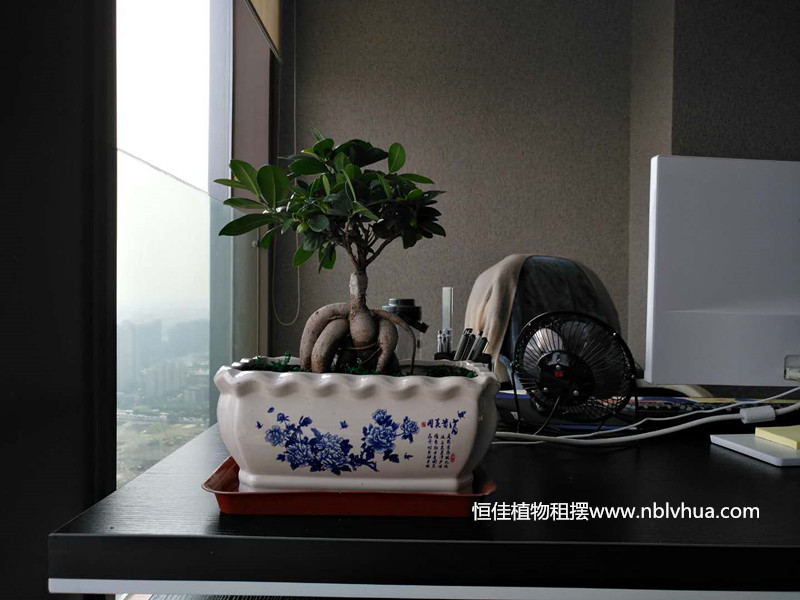 微信图片_20180728191538_副本.jpg