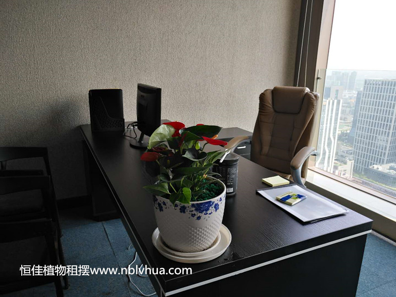 微信图片_20180728191555_副本.jpg