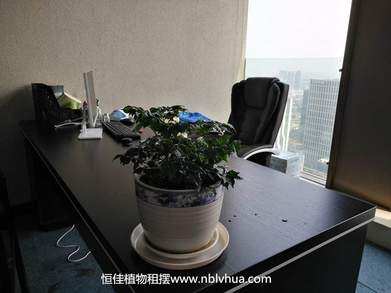 微信图片_20180728191552_副本.jpg