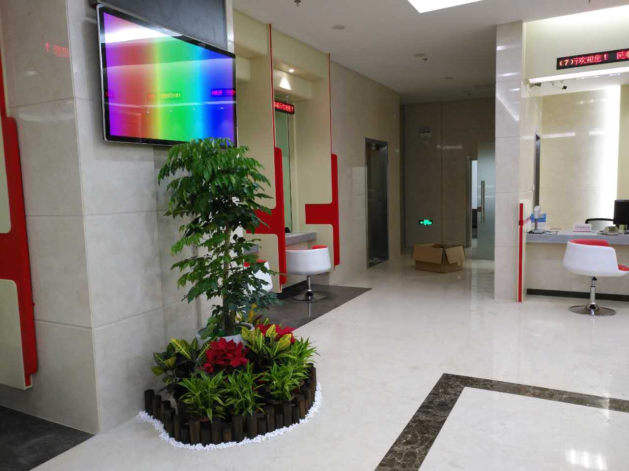 承接民泰银行室内植物租摆项目
