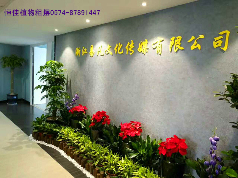 易凡文化室内植物租摆